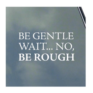 Be Gentle, Wait Be Rough Vinyl Sticker Decal S&M Kinky Love Master Submissive Safe Word