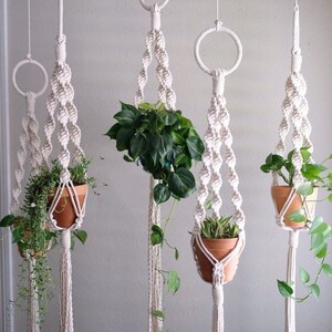 Peut inclure: Quatre suspensions macramé blanc cassé avec des pots en terre cuite contenant diverses plantes vertes. Les suspensions sont suspendues au plafond, mettant en valeur un style bohème. Les plantes comprennent des variétés retombantes et feuillues, ajoutant une touche de nature.