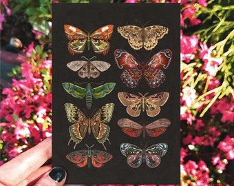 Mariposas y polillas en la tarjeta nocturna, tarjeta de arte, tarjeta hecha a mano, tarjeta de felicitación de mariposas, tarjeta de cumpleaños, tarjetas de polilla cottagecore, tarjeta de insectos de arte