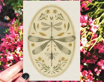 Greeting cards Dragonfly , Art card, Handmade card, botanical greeting card,Birthday Card, illustrations cards, Insect card, symmetrical art