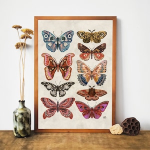 Stampa artistica di farfalle e falene, decorazione di farfalle, stampa di insetti, illustrazioni botaniche vintage, arte boho, arte di farfalle, arte murale di farfalle