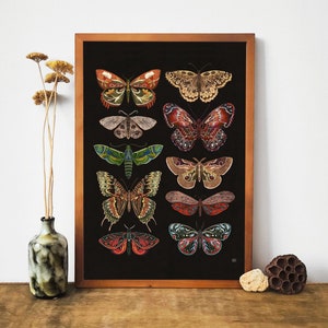 Motten art print, motten illustratie, insecten artwork, insecten print, botanische illustraties, boho kunst, vlinders kunst, vlinders print