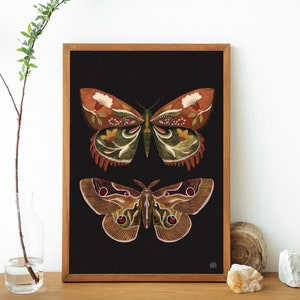 Butterfly print, botanical illustrations, folk insect print, boho Aesthetic, Cottagecore Nature print, butterfly art, black butterfly print image 1
