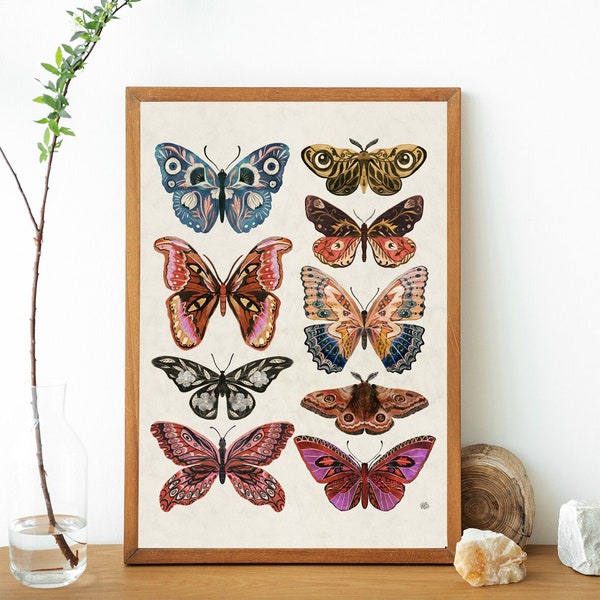 Butterflies & moth art print, Handmade Decor,Insect print, Vintage Botanical illustrations, boho art, Butterflies art, Butterfly poster,