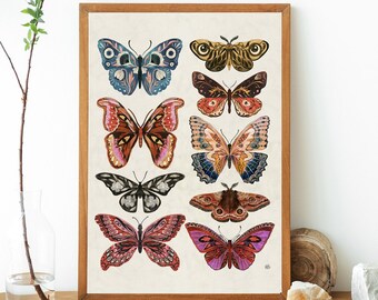 Impresión de arte de mariposas y polillas, decoración hecha a mano, impresión de insectos, ilustraciones botánicas vintage, arte boho, arte de mariposas, cartel de mariposas,