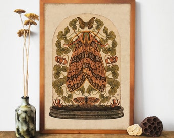 Moth & Lily Art Print: Botanical Illustration, Insect Poster, Calm Energy Artwork, Cottagecore Wall decor