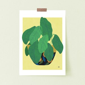 calathea , Plant illustration, art giclée print,Botanical Print,Botanical illustrations,Botanical Art,Plants Art Prints image 3