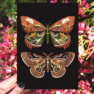 Carte de voeux papillons, carte d'art, carte faite main, carte d'art populaire, cartes postales de la faune, cartes écologiques, cartes d'artiste, carte postale illustrée