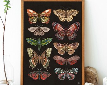 Impresión de arte de polillas, Ilustración de polillas, Arte de impresión Giclée, Impresión de insectos, Ilustraciones botánicas, arte boho, Arte de mariposas, Impresión de polillas