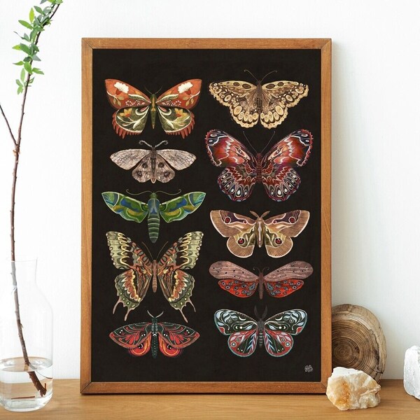 Impression d'art de papillons de nuit, Illustration de papillons de nuit, Impression giclée d'art, Impression d'insectes, Illustrations de botanique, Art bohème, Art de papillons et Impression de papillons de nuit