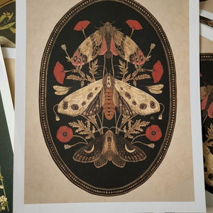 Moths and poppy flowers, botanical illustrations, magic art print, boho Aesthetic, poppy art print, Cottagecore Nature print, moths giclee image 3