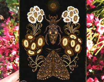Carte de lune scarabée, carte d'art, carte faite main, carte de voeux botanique, carte d'anniversaire, cartes d'illustrations, carte de papillon de nuit, cartes de scarabée, cartes de bug