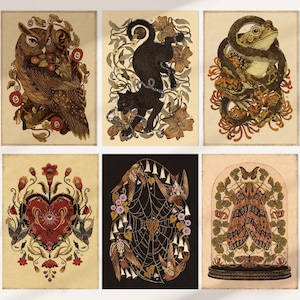 Könnte beinhalten: Eine Sammlung von sechs Kunstdrucken im Vintage-Stil. Die Drucke zeigen detaillierte Illustrationen einer Eule, einer schwarzen Katze, eines Frosches mit einer Schlange, eines Herzens mit floralen Elementen, Vögeln mit einem Spinnennetz und Motten in einer Glaskuppel. Die Farbpalette umfasst Braun-, Rot- und Grüntöne.