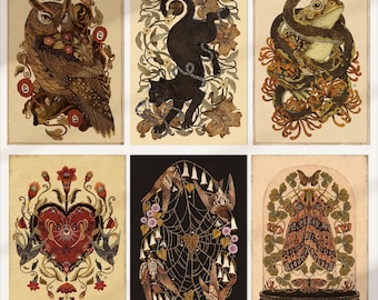 Set 6 Botanical Animal Cards: Owl, Black Cat, Frog, Moth, Sacred Heart, Spider Web, Gift for nature Lover, Nature Cards, Wildlife Postcards