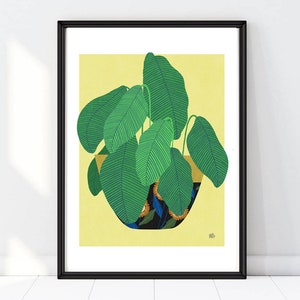 calathea , Plant illustration, art giclée print,Botanical Print,Botanical illustrations,Botanical Art,Plants Art Prints image 1