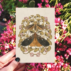 Carte d'art sur les mites et les fougères, carte faite main, carte de voeux botanique, carte d'anniversaire, cartes d'illustrations, carte cottagecore, carte de mite,
