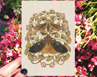 Carte d'art sur les mites et les fougères, carte faite main, carte de voeux botanique, carte d'anniversaire, cartes d'illustrations, carte cottagecore, carte de mite,