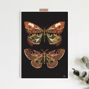 Butterfly print, botanical illustrations, folk insect print, boho Aesthetic, Cottagecore Nature print, butterfly art, black butterfly print image 5