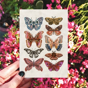 Schmetterlinge & Motten Karte, Kunstkarte, handgemachte Karte, Schmetterlinge Grußkarte, Geburtstagskarte, Illustrationskarten, Mottenkarte, CottageCore Karte