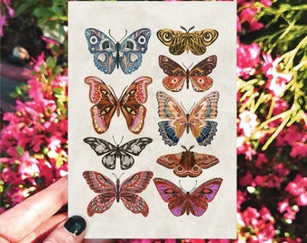 Tarjeta de mariposas y polillas, tarjeta de arte, tarjeta hecha a mano, tarjeta de felicitación de mariposas, tarjeta de cumpleaños, tarjetas de ilustraciones, tarjeta de polilla, tarjeta cottagecore