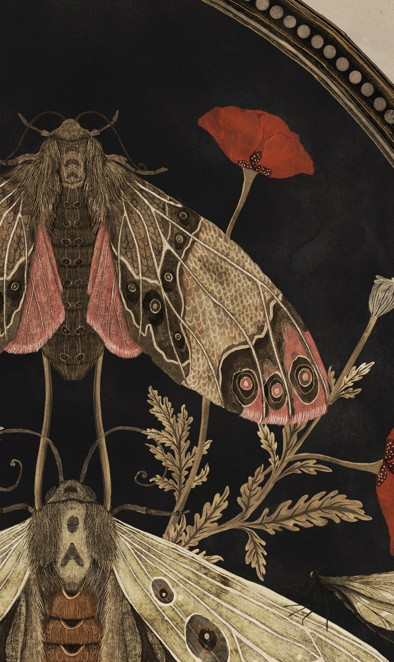 Moths and poppy flowers, botanical illustrations, magic art print, boho Aesthetic, poppy art print, Cottagecore Nature print, moths giclee image 6