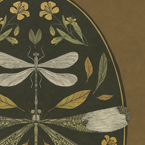 Dragonfly Art Print, Handmade Decor, nadruk owadów, Vintage ilustracje botaniczne, kwiaty sztuki, sztuka Vintage, plakat Dragonfly, image 3
