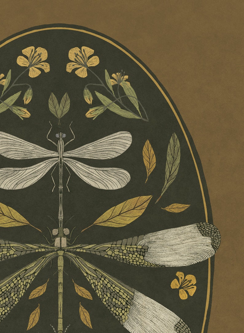 Dragonfly Art Print, Handmade Decor, nadruk owadów, Vintage ilustracje botaniczne, kwiaty sztuki, sztuka Vintage, plakat Dragonfly, image 3