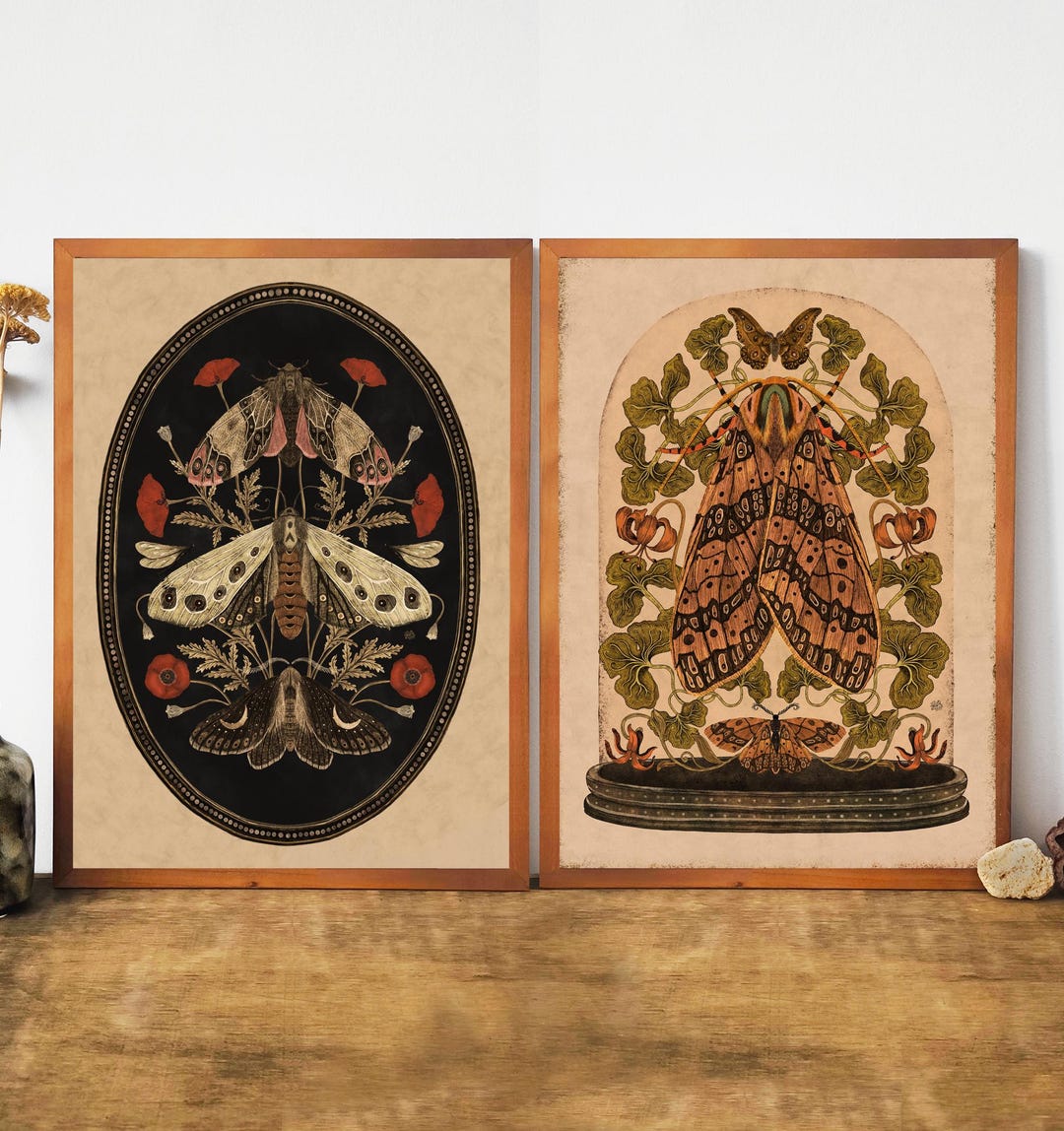 Botanical Moth and Flower Art Print Set: Vintage-style Wall Decor - Etsy