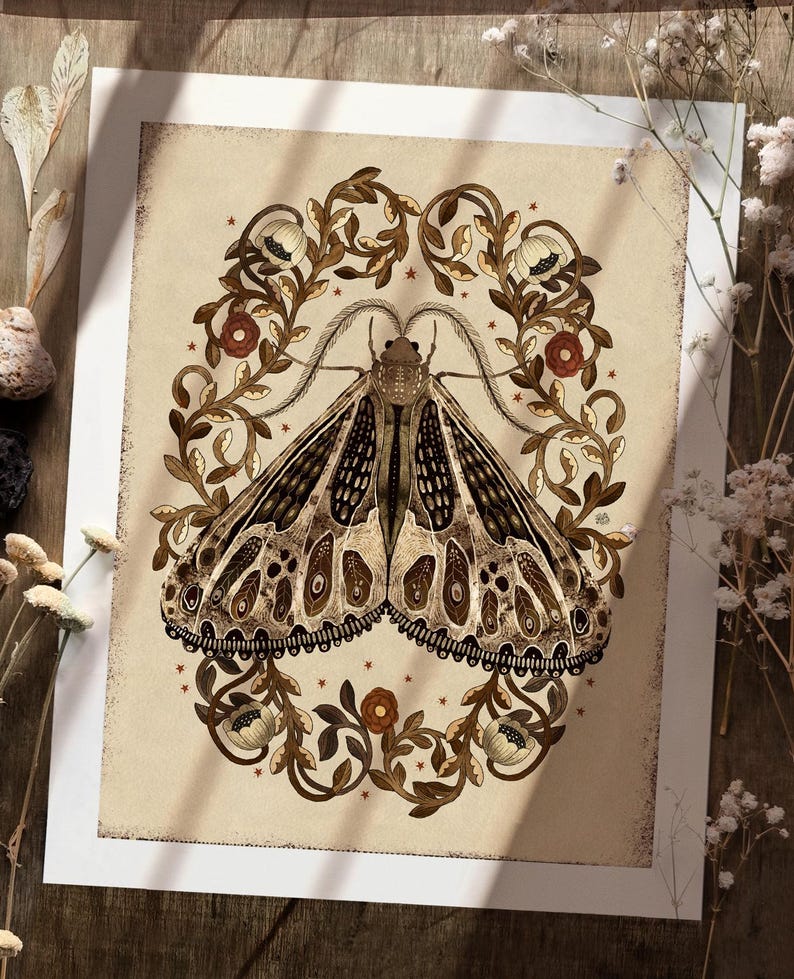 Vintage Moth Art Print: Botanical Wall Decor, Mystical Insect ...