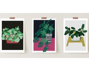May include: Three framed prints of different houseplants. The first print features a green plant in a red pot on a black background. The second print features a green plant in a black and white patterned pot on a pink and blue background. The third print features a green plant with yellow flowers in a white pot on a grey background with a yellow stand.