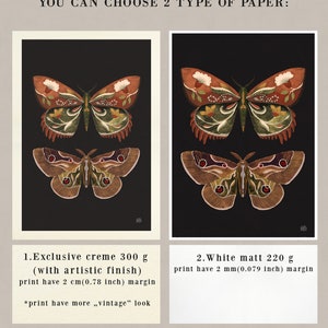 Butterfly print, botanical illustrations, folk insect print, boho Aesthetic, Cottagecore Nature print, butterfly art, black butterfly print image 4