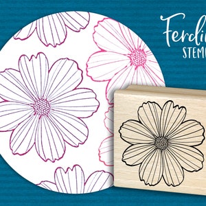 Stempel · Große Cosmea