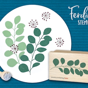 Stempel · Eukalyptuszweig + Blüte