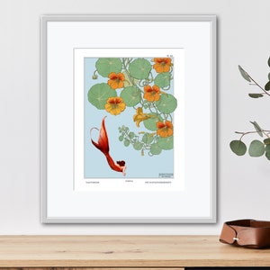 Nasturtium and Mermaid, Botanical Illustration, Mermaid Wall Art, Antique Botanical Wall Art, Mermaid Decor, Mermaid watercolor