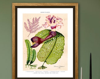 Enchanting Elegance: Antique Botanical Mermaid – Lithograph and Watercolor Fusion