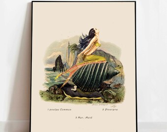 Antique Lithograph Nautilus Shell and Watercolor Mermaid, Fine Art Print, Vintage