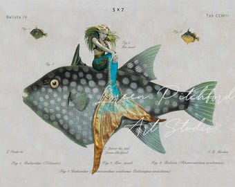 Antique Trigger Fish Mermaid Lithograph, Fine Art Print