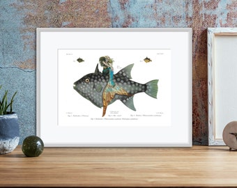 Embark on a whimsical journey with this Antique Lithograph, portraying a majestic large fish bearing a mermaid on its back, Fine art print