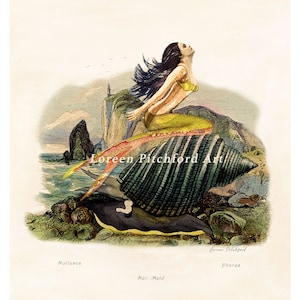 May include: A vintage illustration of a mermaid with long black hair and a yellow top, perched on a large seashell. The artwork features a coastal scene with a lighthouse and the text "Loreen Pitchford Art".