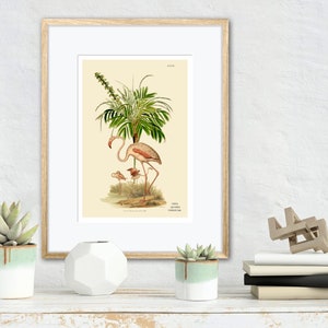 Litografía antigua de palmeras, escena tropical y flamencos. Arte mural, decoración de pared, impresión de bellas artes.