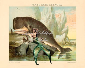 Mermaid and Whale Art Print, Antique Lithograph, Environmental Awareness