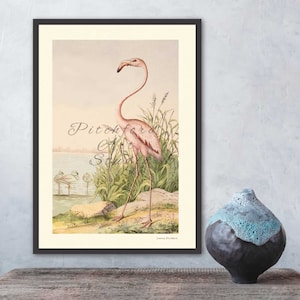 Transport yourself to a bygone era with this antique lithograph, a harmonious blend of palms, flamingos, and tropical scene Fine Art Print