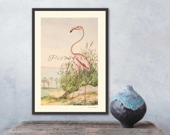 Transport yourself to a bygone era with this antique lithograph, a harmonious blend of palms, flamingos, and tropical scene Fine Art Print