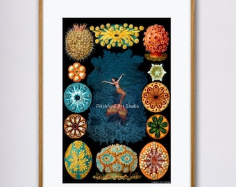 Brilliant and interesting Wall Art Promt for home or office, featuring a mermaid, swimmer