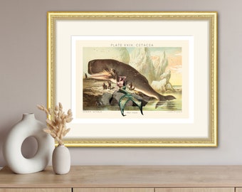 Save the Whale, Mermaid & Whale Art Print, Whale Lithograph Fine Art Print,  Home Wall Art, Environmental Awareness