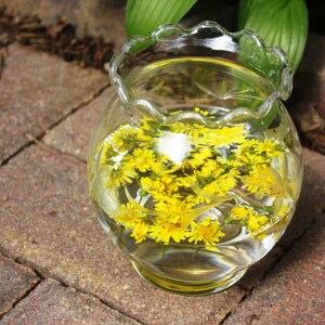 May include: A clear glass bowl with a ruffled rim filled with water and yellow flowers. The bowl sits on a brick surface, with green foliage in the background. The glass has a decorative etched design.