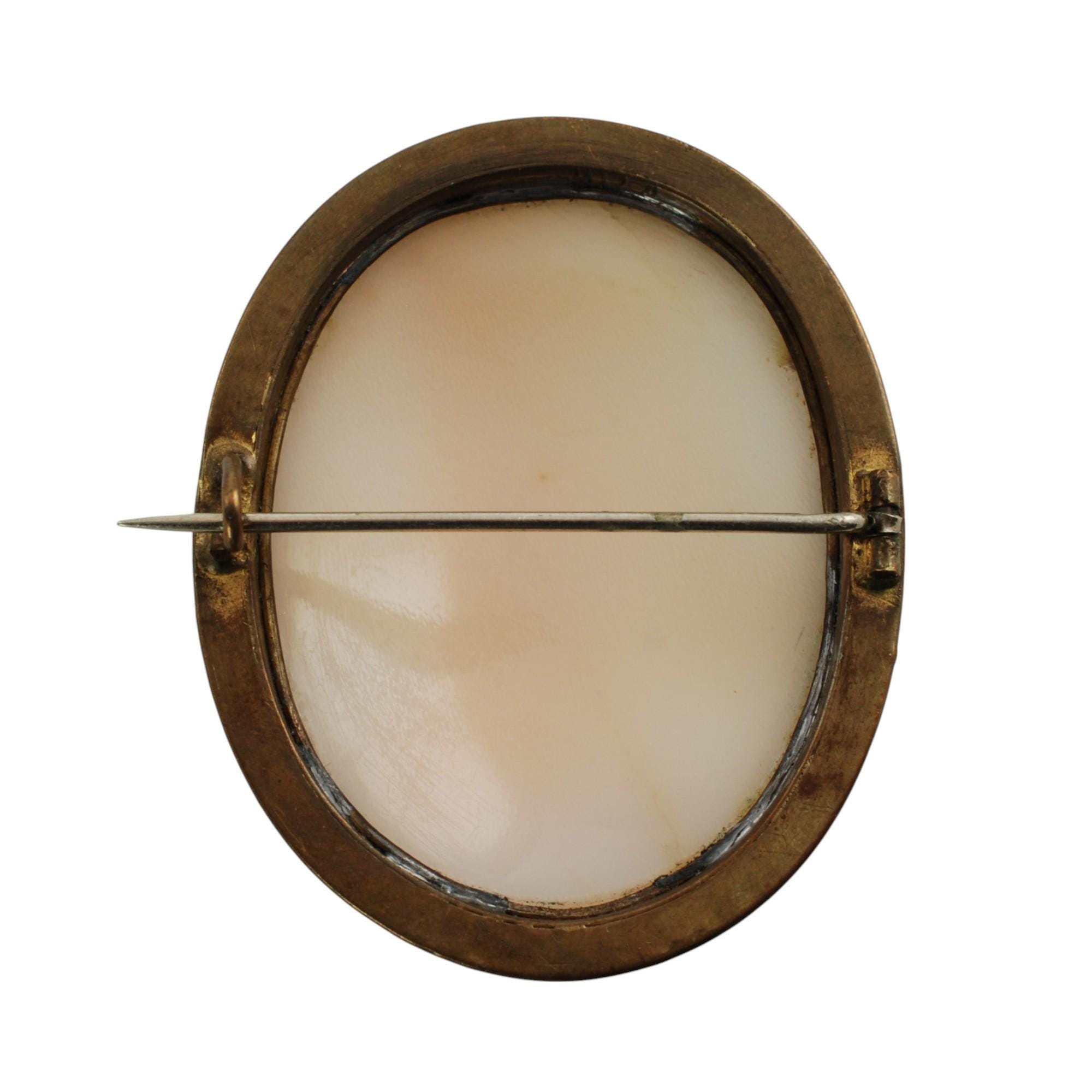 Antique Hand Carved Zeus Shell Cameo Brooch Pin With C-clasp and Tube ...