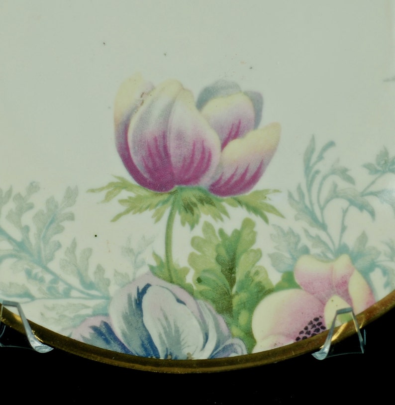 Artiste antique Signé Peint à la main Motif Floral Porcelaine Dorée 9 Assiette Armoire Coquelicot Motif O & EG Royal Autriche image 3