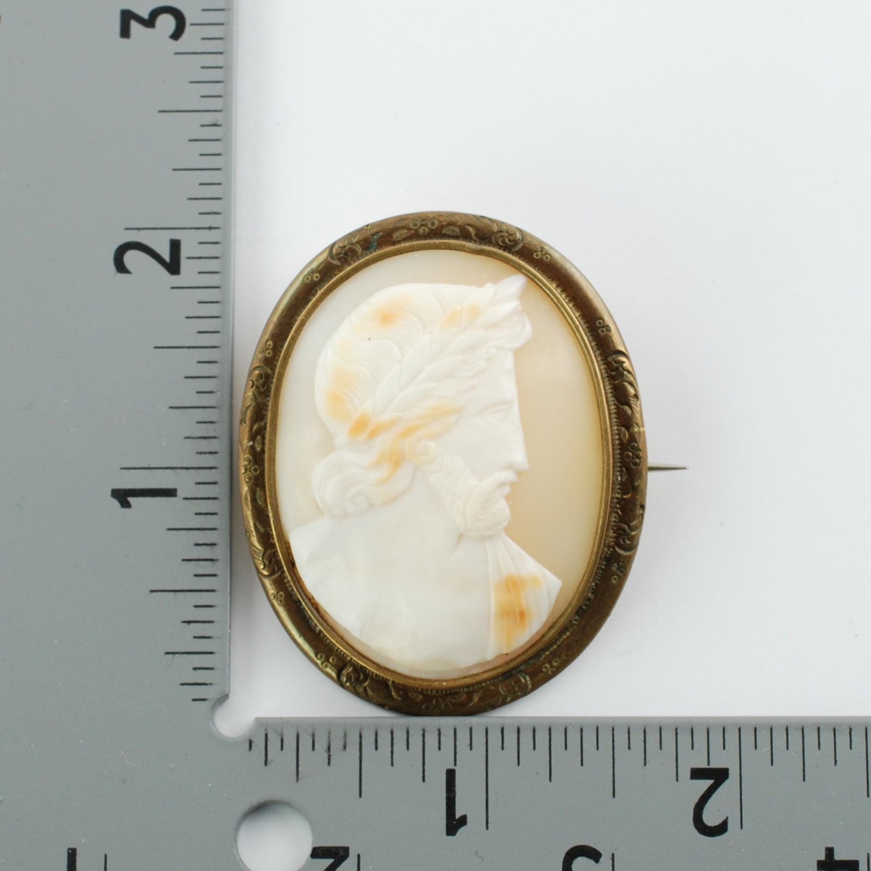 Antique Hand Carved Zeus Shell Cameo Brooch Pin With C-clasp and Tube ...