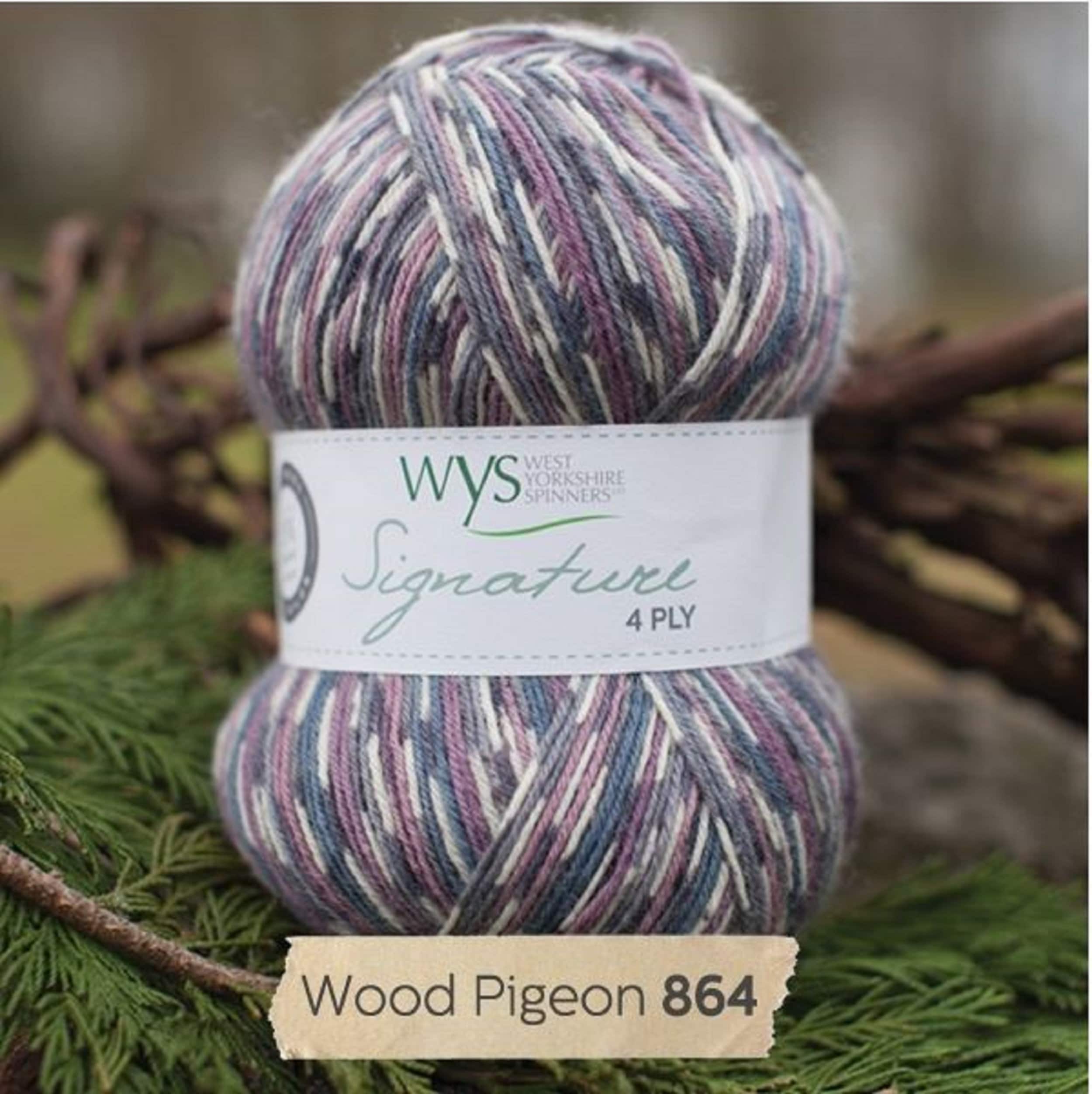 West Yorkshire Spinners Signature 4 Ply - Blue Tit (818)